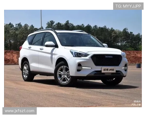 10万买国产车摇出5连8神号，现场有人冒200万抢，工厂妹坚决不卖