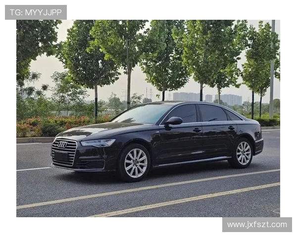 15万捡漏一辆顶配奥迪A6L,开回老家有面子吗?